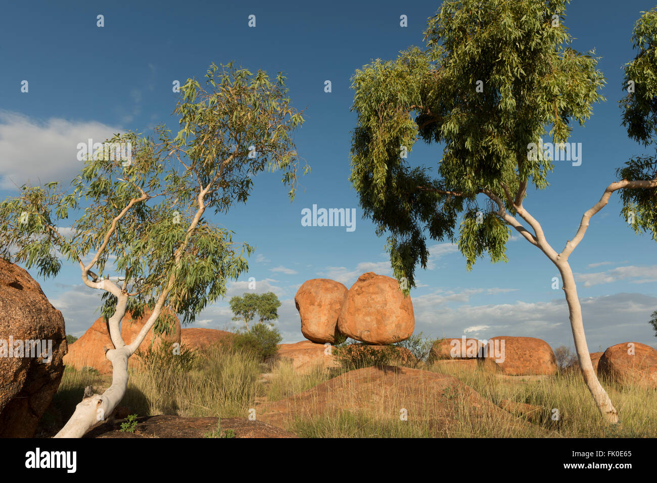 Les rochers de granit formé il y a des millions d'années dans les Devils Marbles Conservation reserve. Les Devils Marbles sont faite de granit Banque D'Images