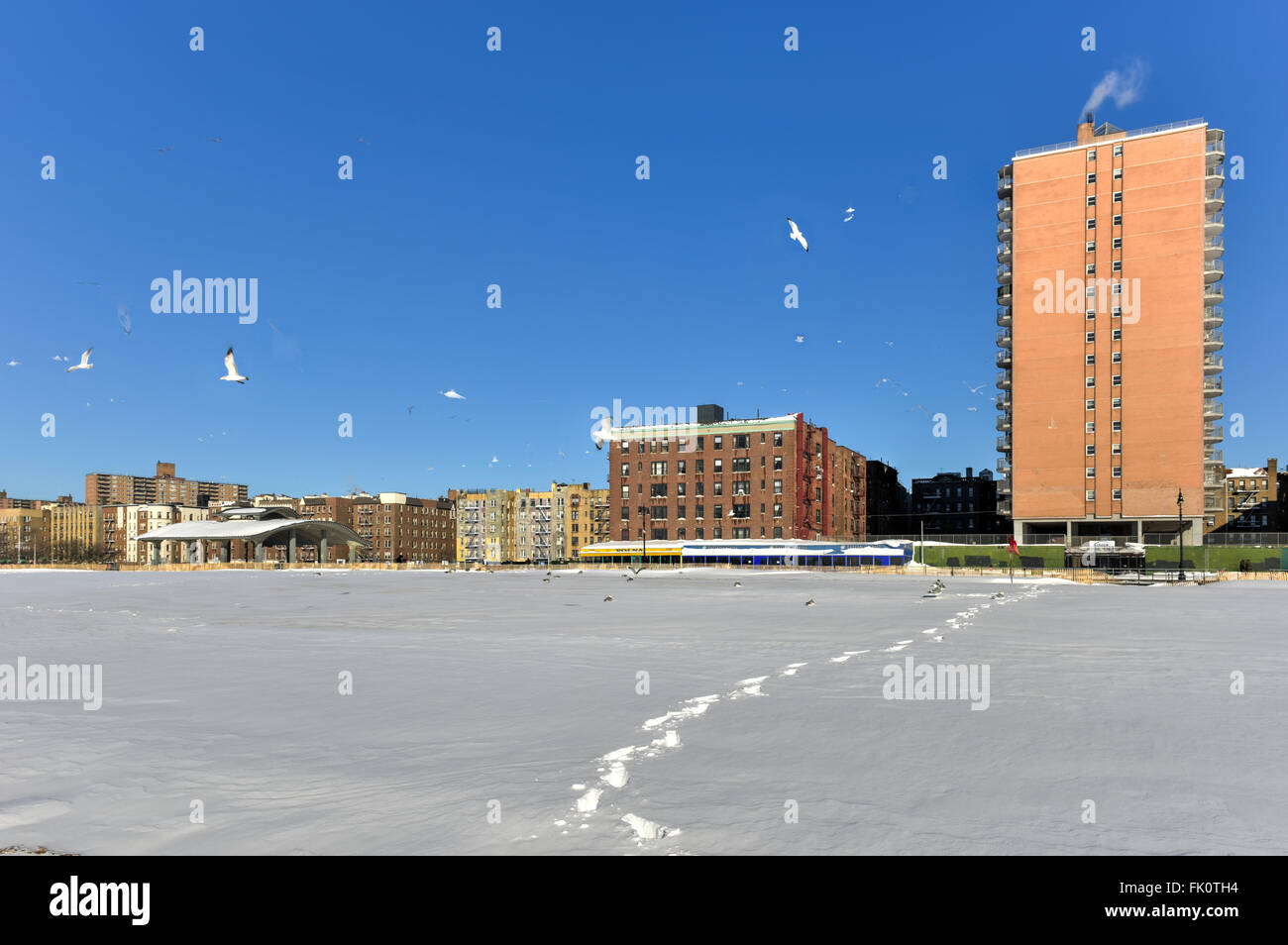 La plage de Coney Island à Brooklyn, New York après une importante tempête de neige. Banque D'Images