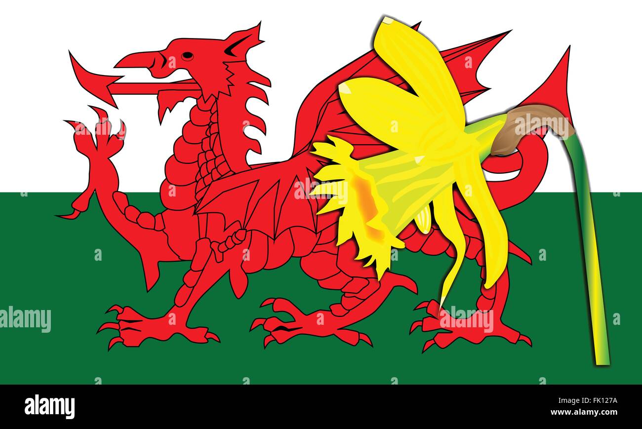 Le drapeau national du pays de Galles dragon avec la fleur nationale le narcisse Illustration de Vecteur