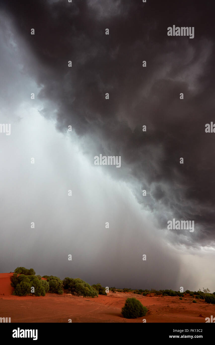 Orage, NSW Australie outback. Banque D'Images