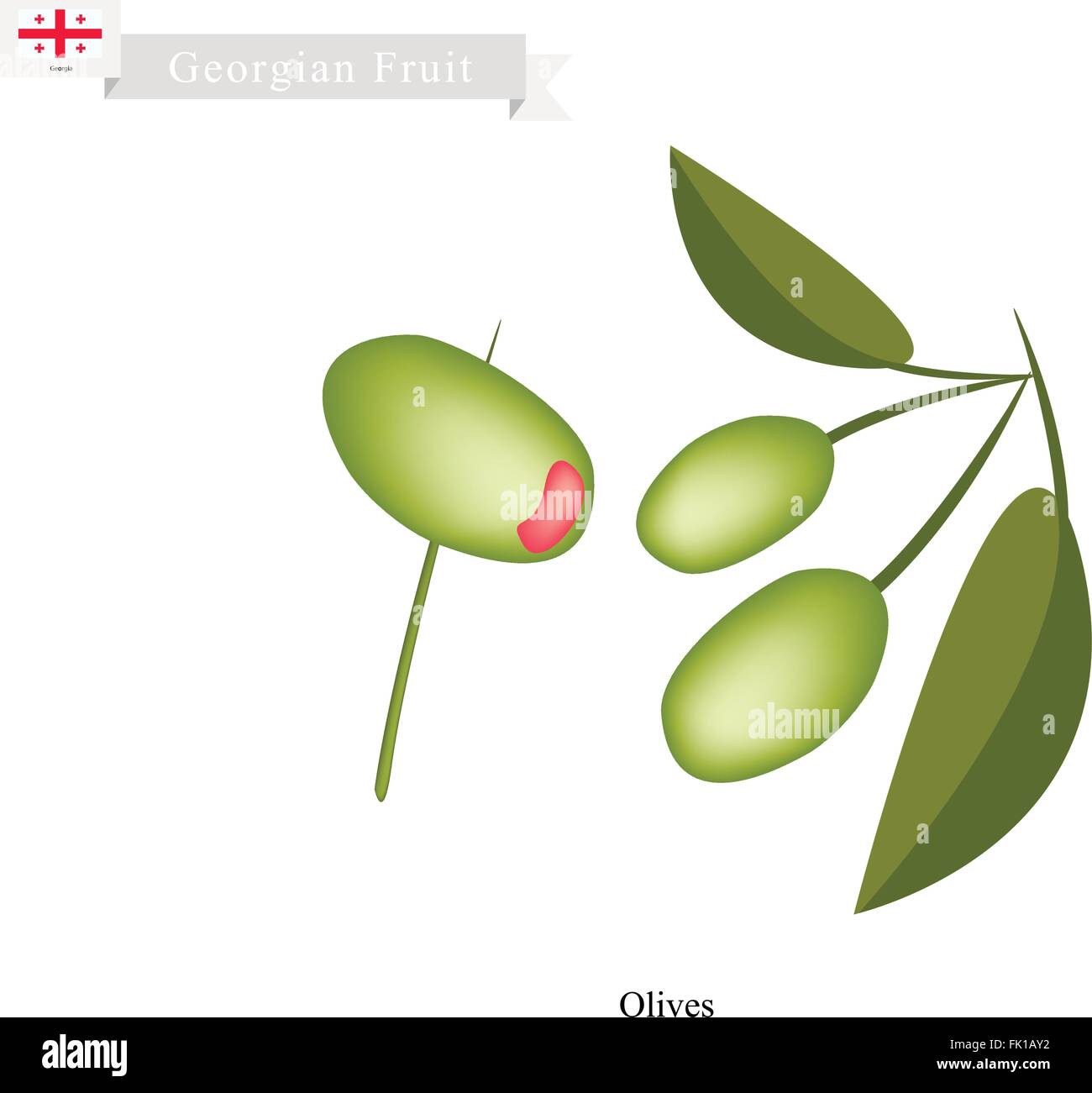 Georgian Fruits, frais d'olives. L'un des fruits les plus populaires de Géorgie. Illustration de Vecteur