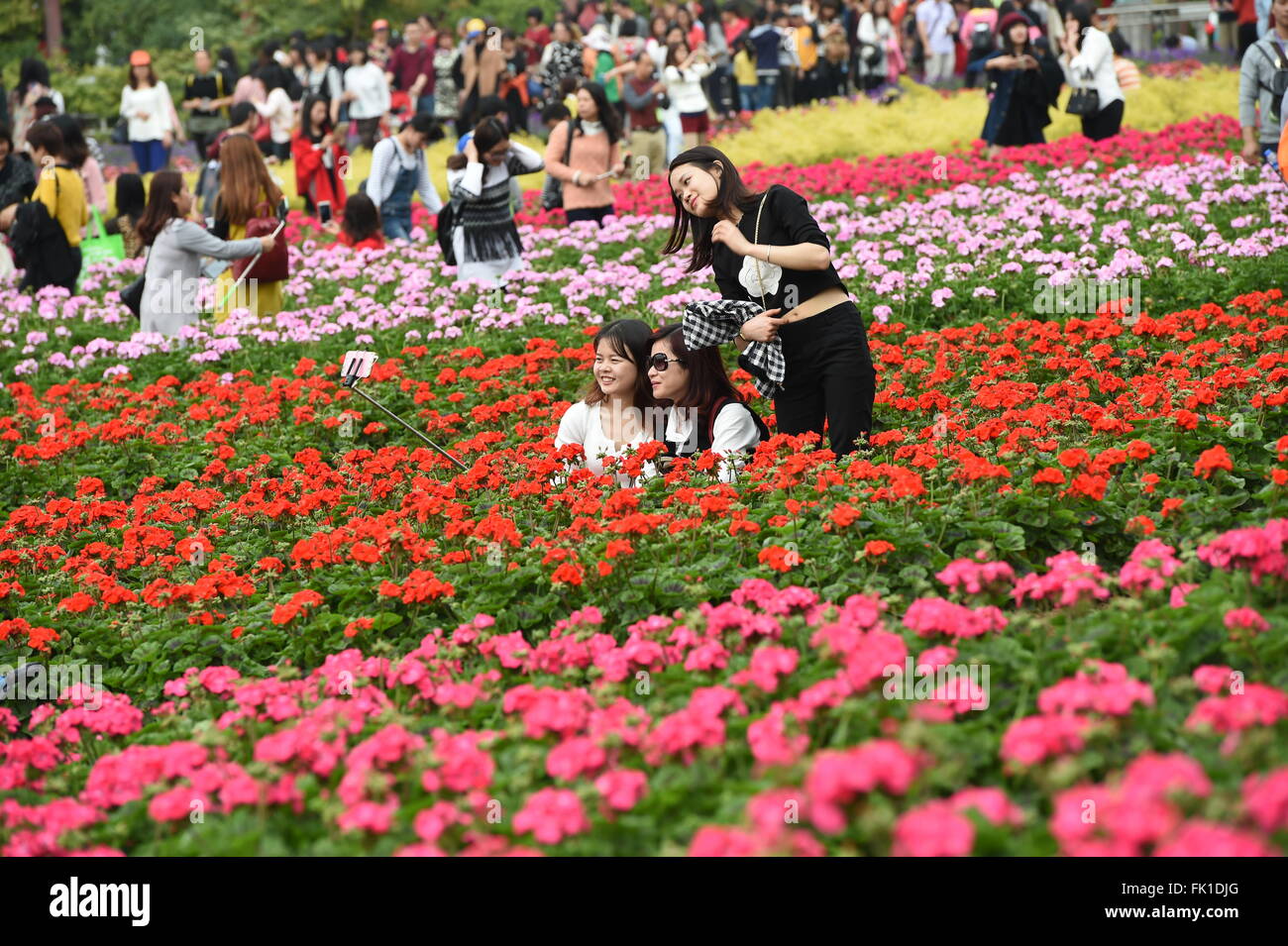 Guangzhou, la province chinoise du Guangdong. 5e Mar, 2016. Les touristes prendre des selfies fleurs à un parc dans Guangzhou, capitale du sud de la province chinoise du Guangdong, le 5 mars 2016. © Liu Dawei/Xinhua/Alamy Live News Banque D'Images