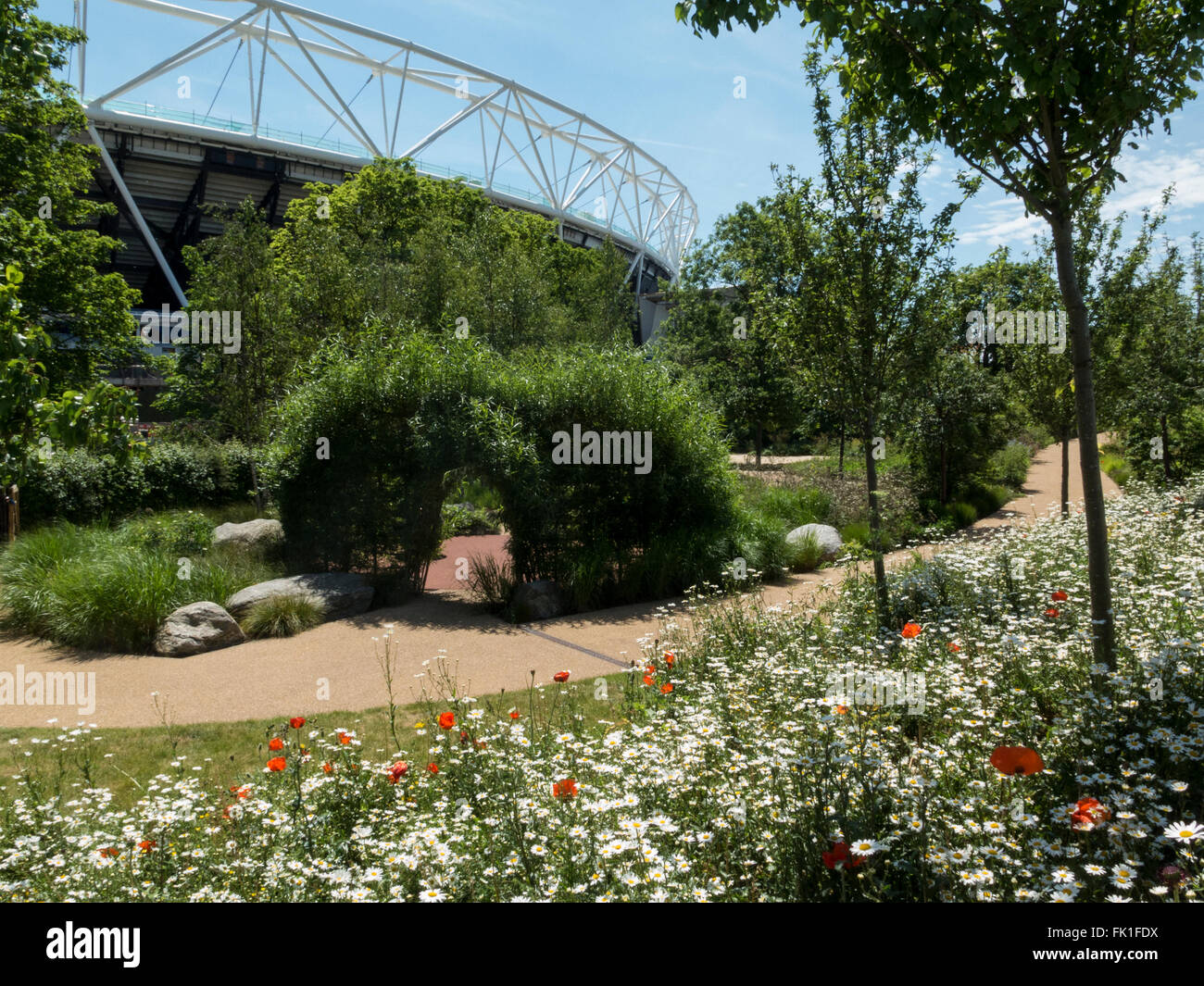 Lea Valley Parc olympique, 2015 affichage floral Banque D'Images