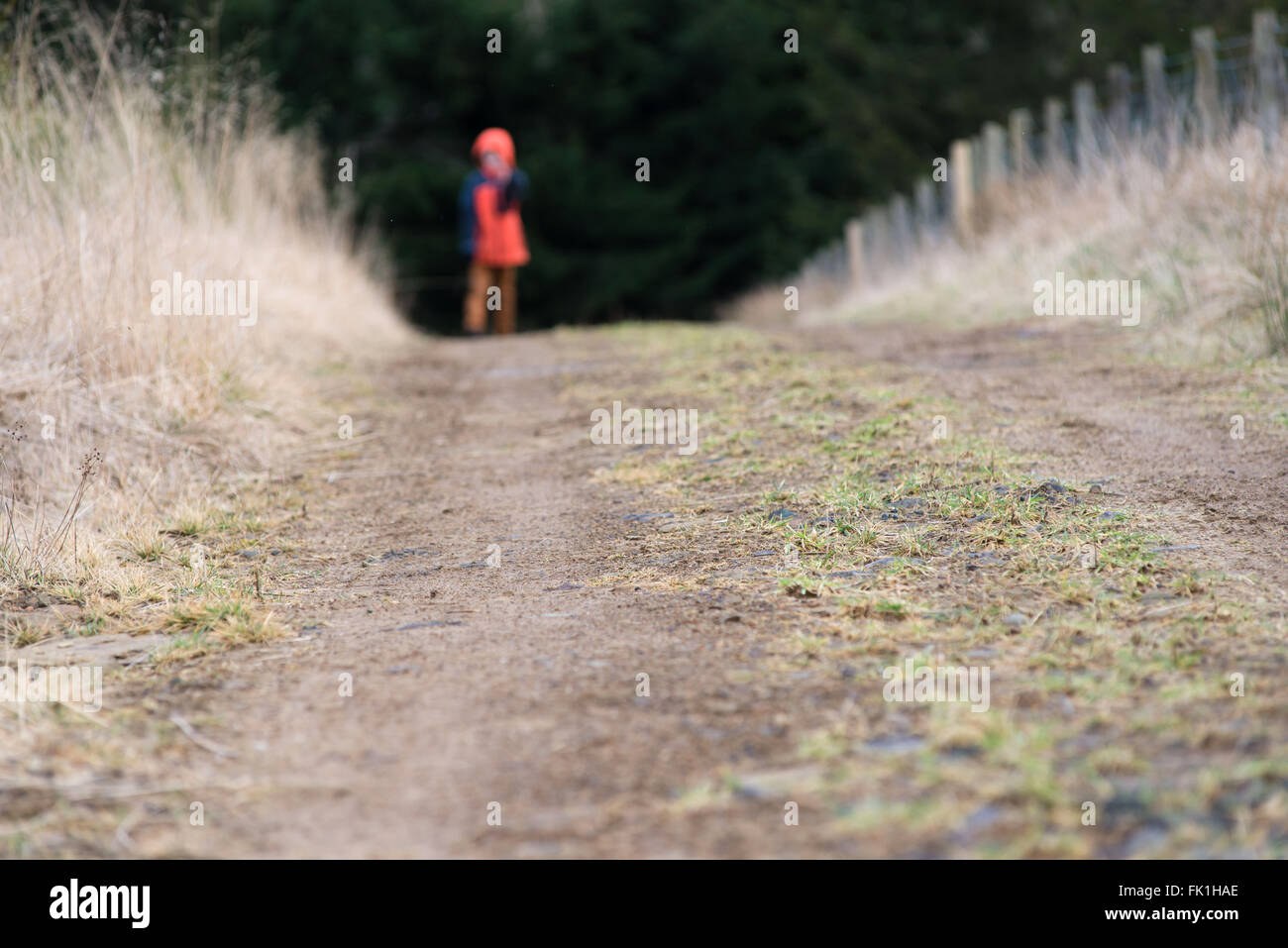 Enfant marche sur chemin de campagne à distance Banque D'Images