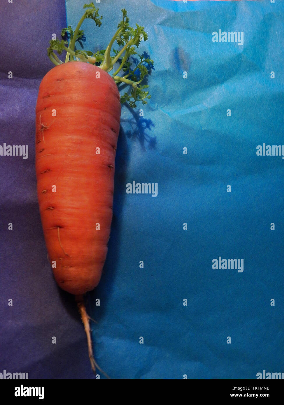Les carottes avec les sommets. Sur un fond coloré Banque D'Images