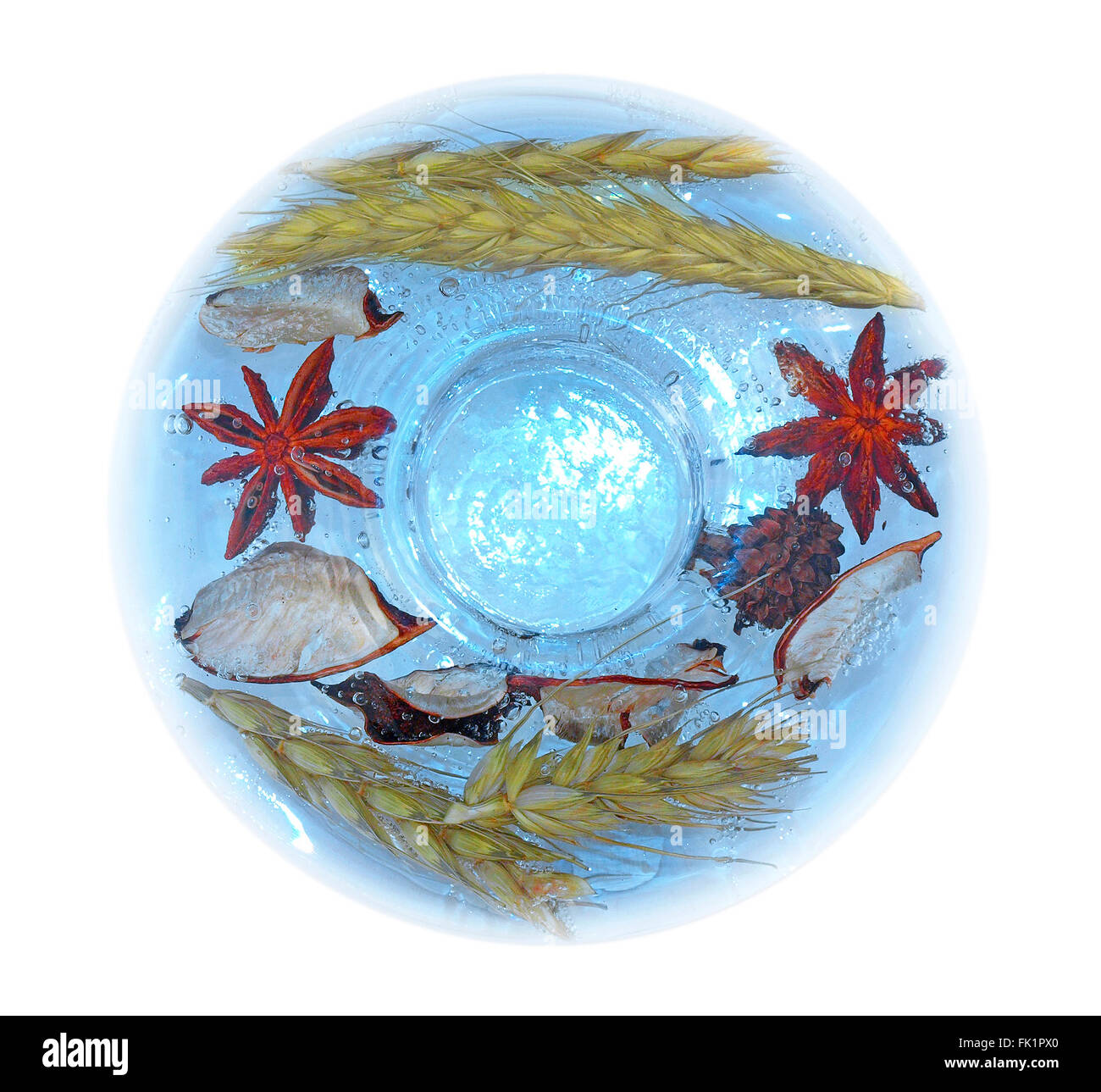 Aqua-décoration, verre, de l'eau, les plantes Banque D'Images