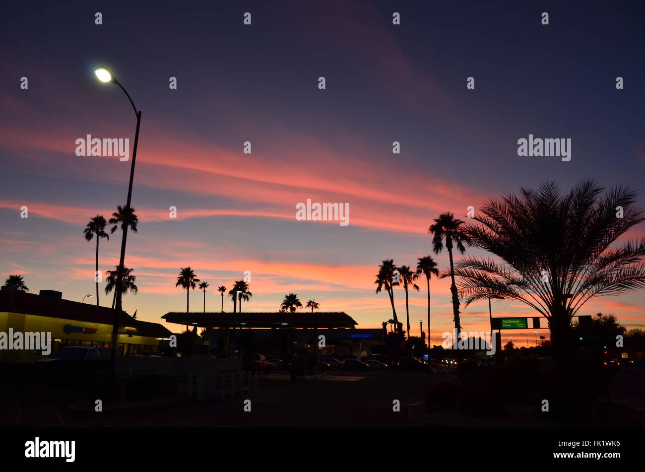 Phoenix coucher palmiers nuage rose ciel bleu arizona Banque D'Images