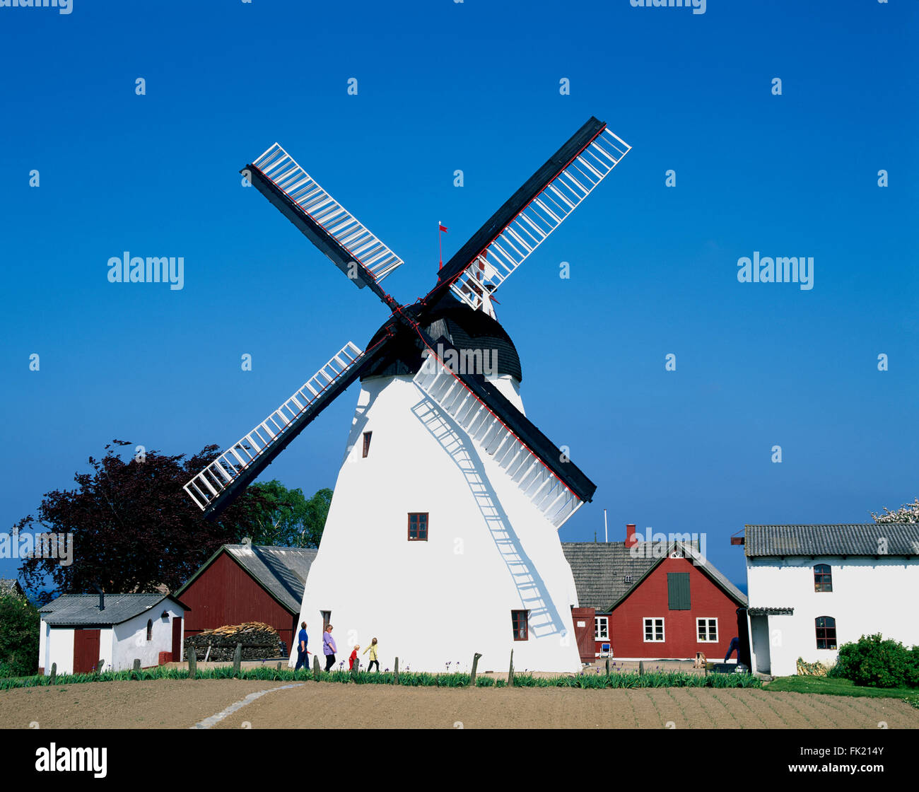 Arsdale mill près de Svaneke, île de Bornholm, Danemark, Scandinavie, Europe Banque D'Images