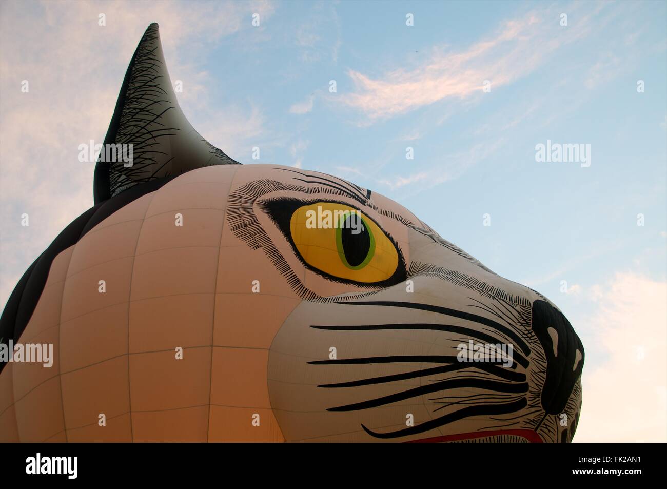 Ballon à air chaud à l'International de montgolfières 2016 Thaïlande à Chiang Mai. Banque D'Images