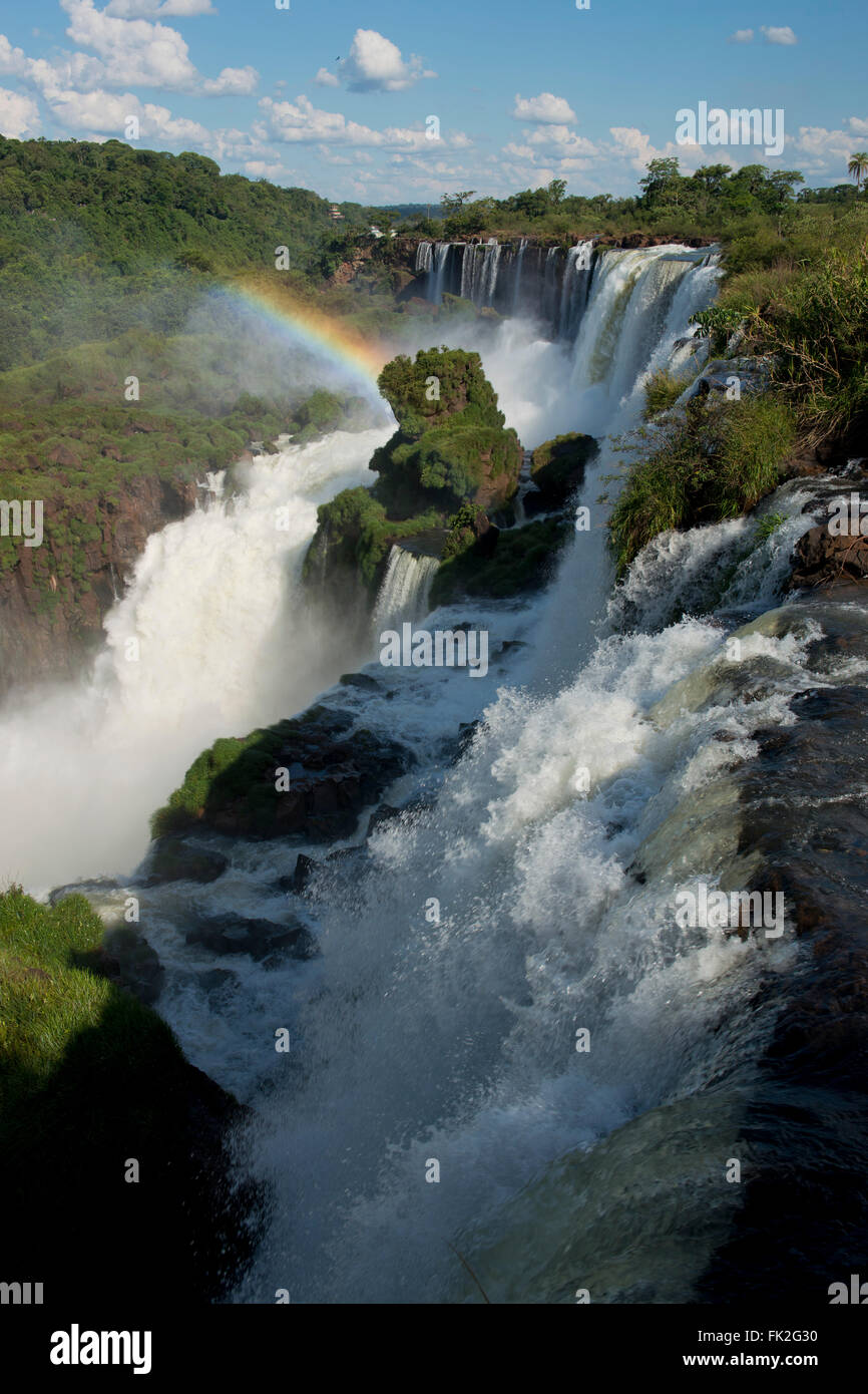 Les magnifiques chutes d'Iguazu, l'une des sept merveilles naturelles du monde, entre l'Argentine et le Brésil. Banque D'Images