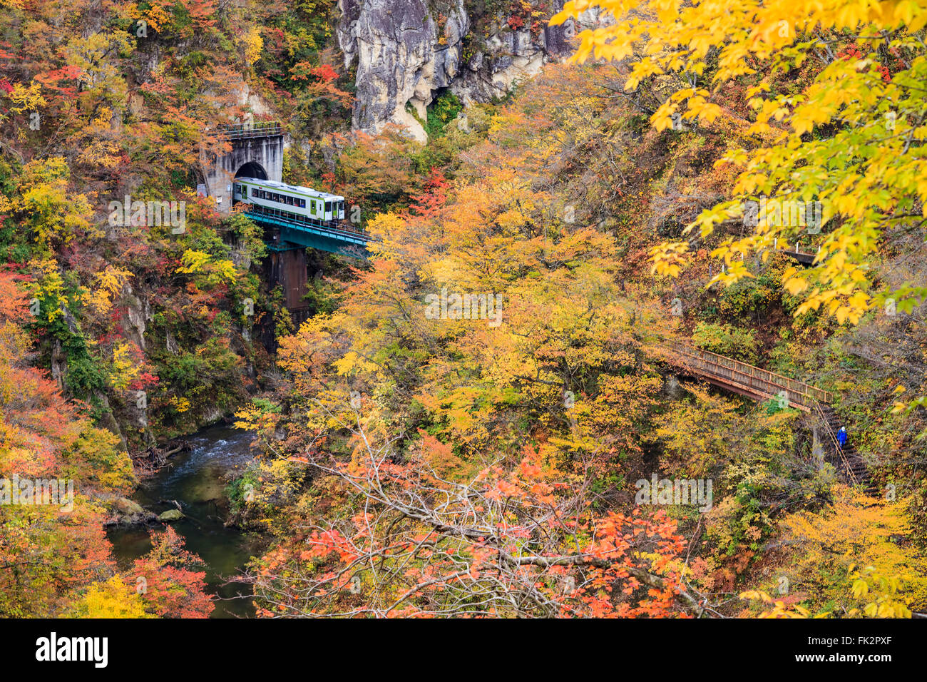 Les Gorges Naruko les feuilles d'automne dans la saison d'automne, le Japon Banque D'Images