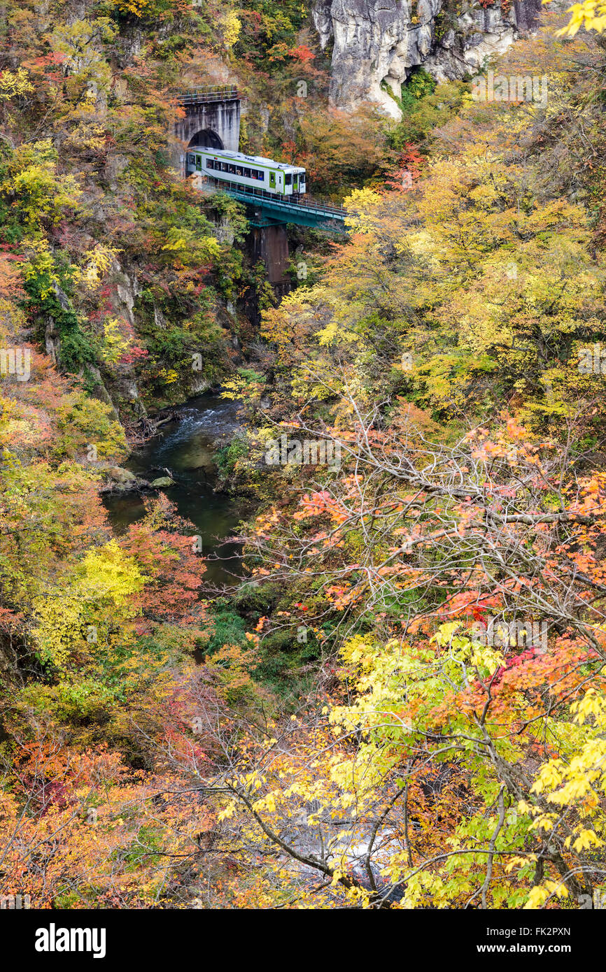 Les Gorges Naruko les feuilles d'automne dans la saison d'automne, le Japon Banque D'Images