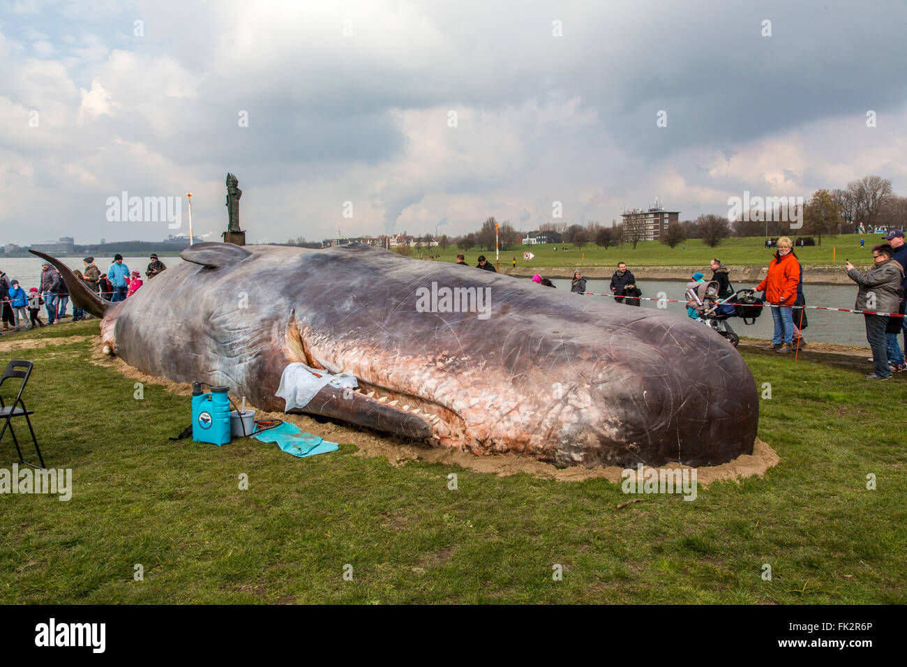 Des baleines échouées, un art performance pendant un art, Duisburger Akzente festival à Duisburg, Allemagne, au Rhin, Banque D'Images