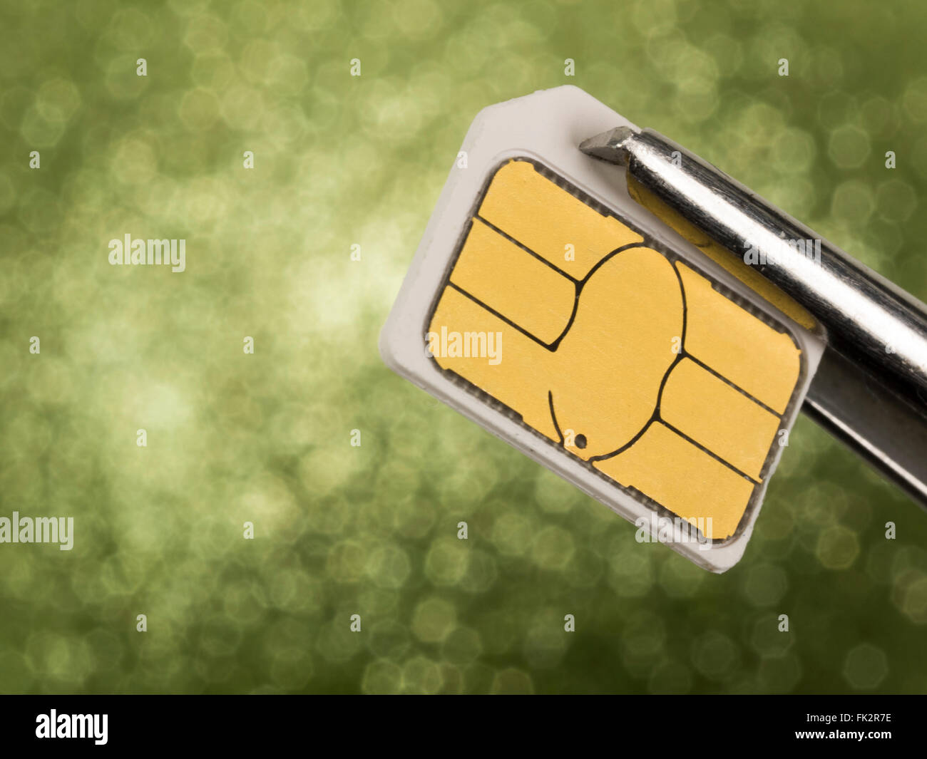 Pinces sur la carte SIM Banque D'Images