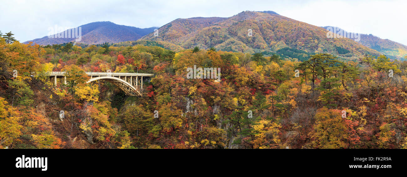 Les Gorges Naruko les feuilles d'automne dans la saison d'automne, le Japon Banque D'Images
