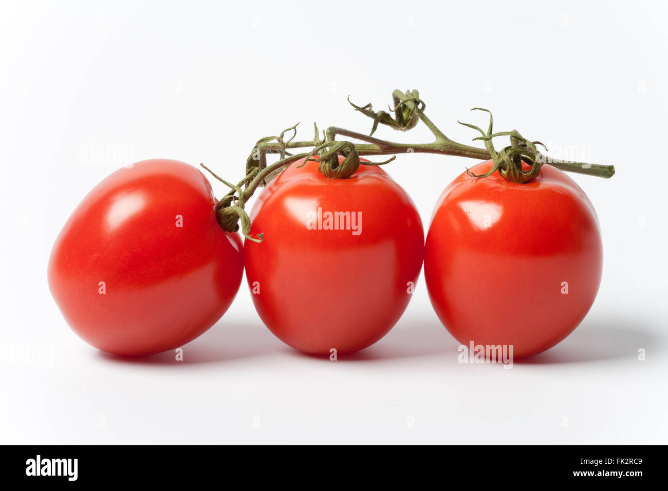 Les tomates rouges frais sur une vigne sur fond blanc Banque D'Images