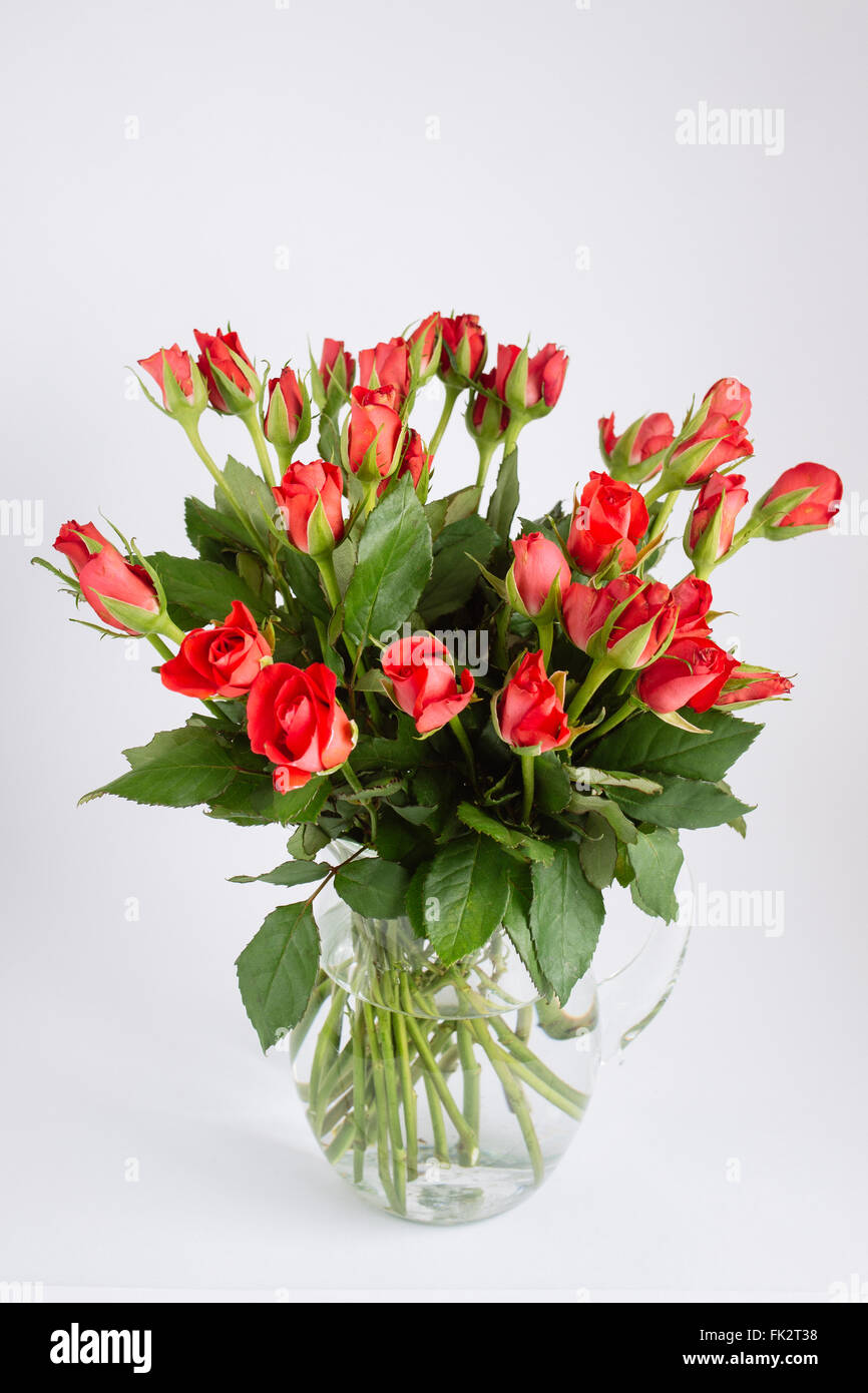 Glorieux magnifiques rouges floraison fleur fleurs Banque de ...