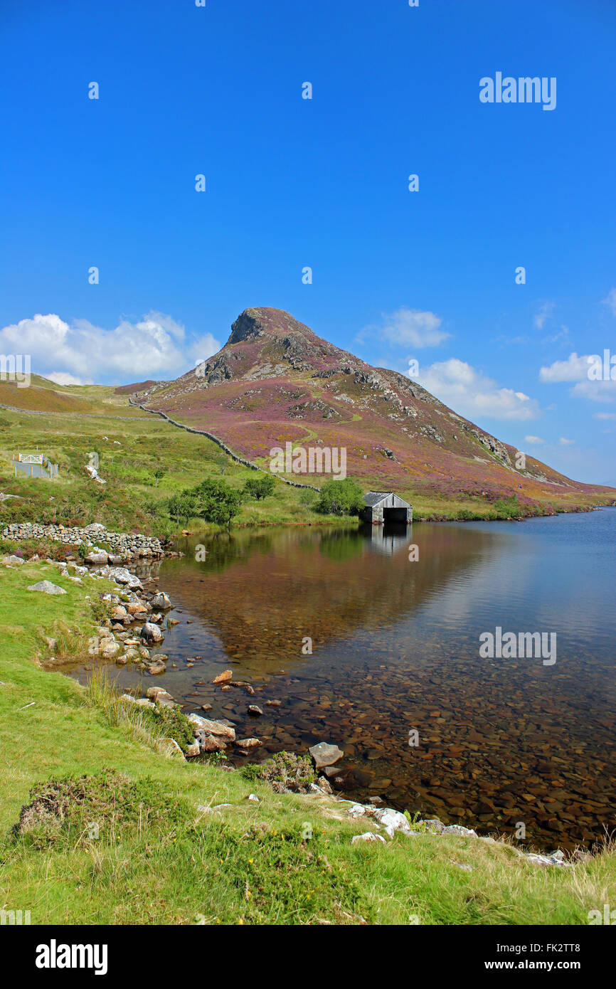 Paysage autour du lac de Cregennan et Gwynedd au Pays de Galles Cadair Idris Banque D'Images
