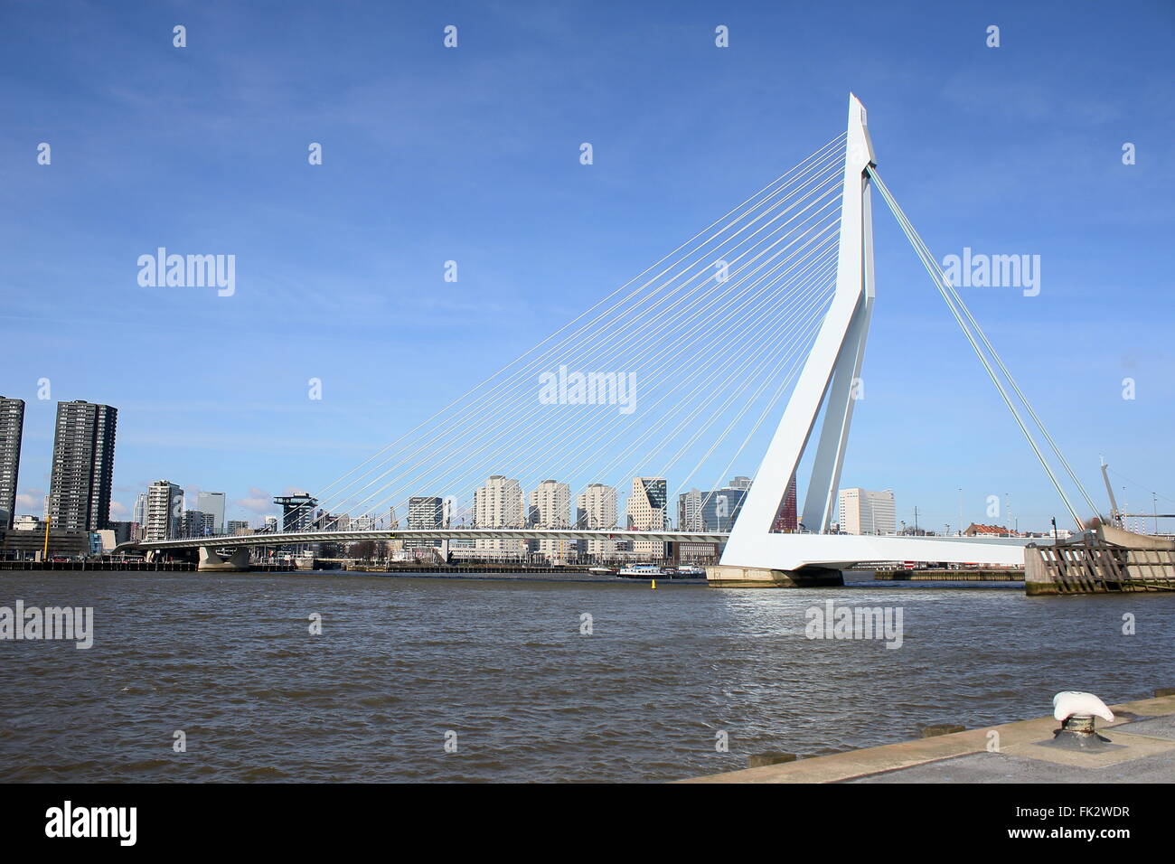 Célèbre pont Erasmus (Erasmusbrug), Rotterdam, Pays-Bas. Conçu par Ben van Berkel, UNStudio, 1996 Banque D'Images