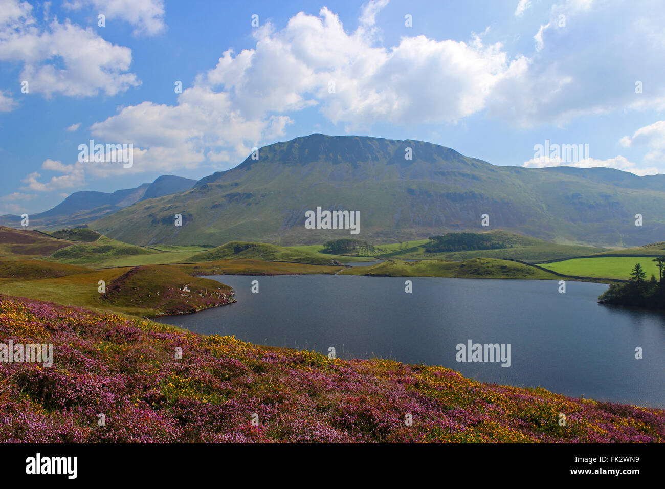 Paysage autour du lac de Cregennan et Gwynedd au Pays de Galles Cadair Idris Banque D'Images