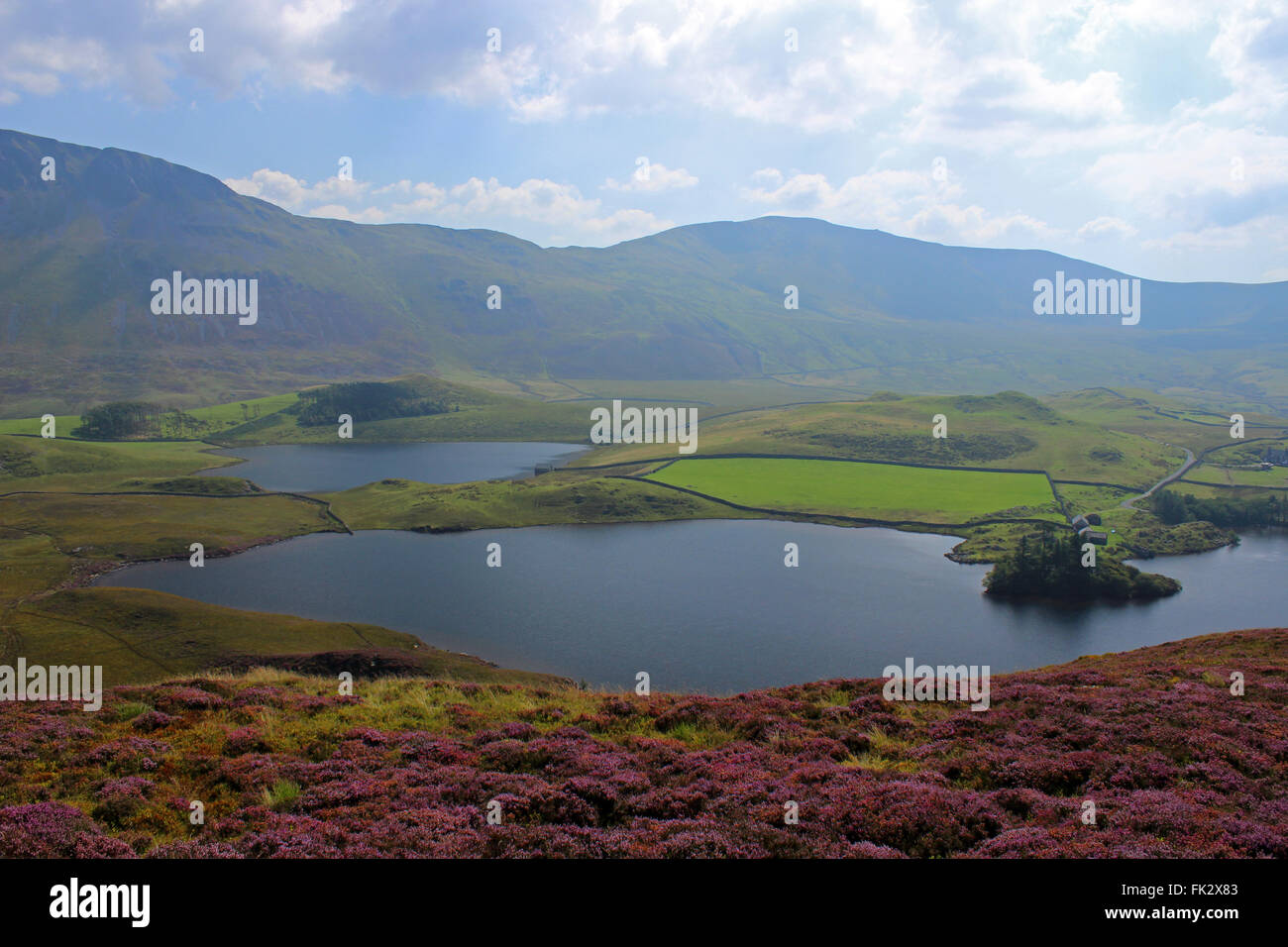 Paysage autour du lac de Cregennan et Gwynedd au Pays de Galles Cadair Idris Banque D'Images
