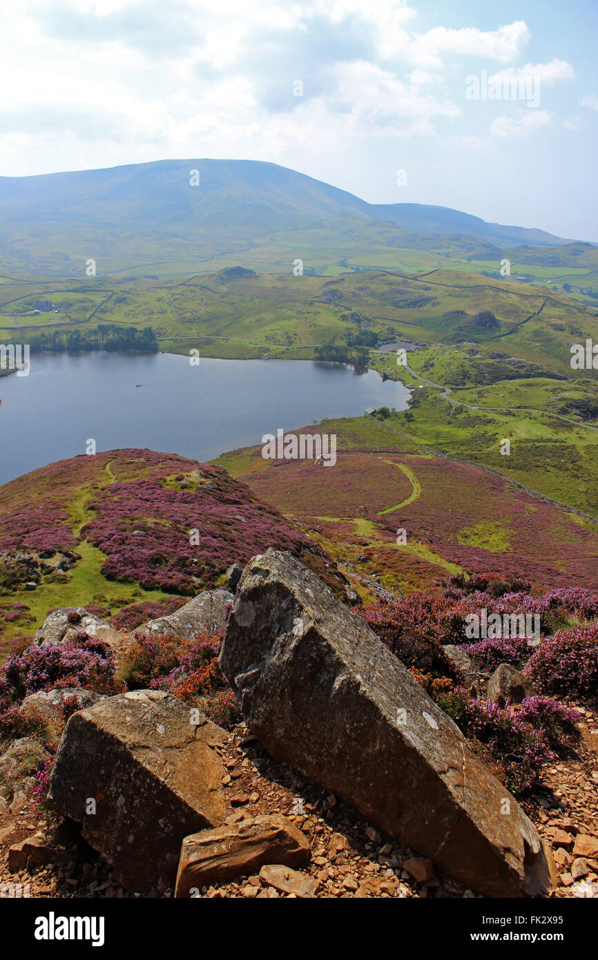 Paysage autour du lac de Cregennen et Gwynedd au Pays de Galles Cadair Idris Banque D'Images