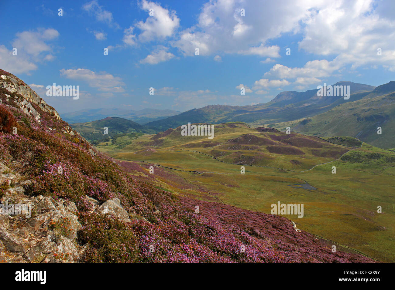 Paysage autour du lac de Cregennan et Gwynedd au Pays de Galles Cadair Idris Banque D'Images