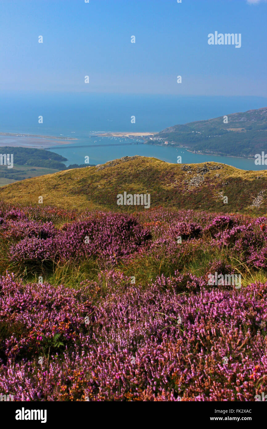 Vue sur Lac de Barmouth et Cregennen Bryn Brith Gwynedd au Pays de Galles Banque D'Images