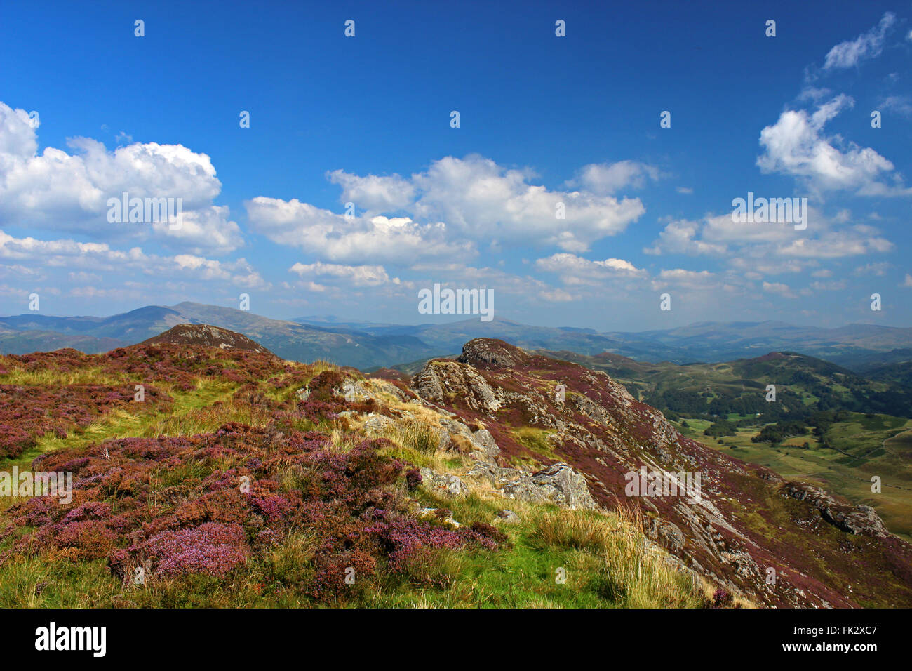 Paysage autour du lac de Cregennan et Bryn Brith Gwynedd au Pays de Galles Banque D'Images