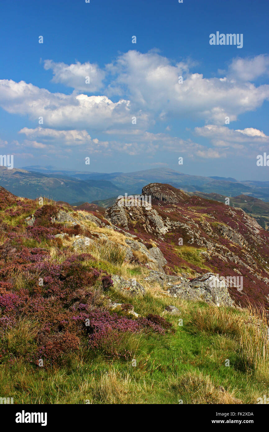 Paysage autour du lac de Cregennan et Bryn Brith Gwynedd au Pays de Galles Banque D'Images