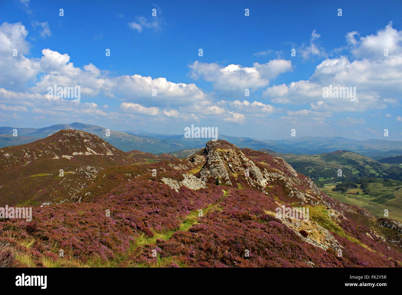 Paysage autour du lac de Cregennan et Gwynedd au Pays de Galles Cadair Idris Banque D'Images