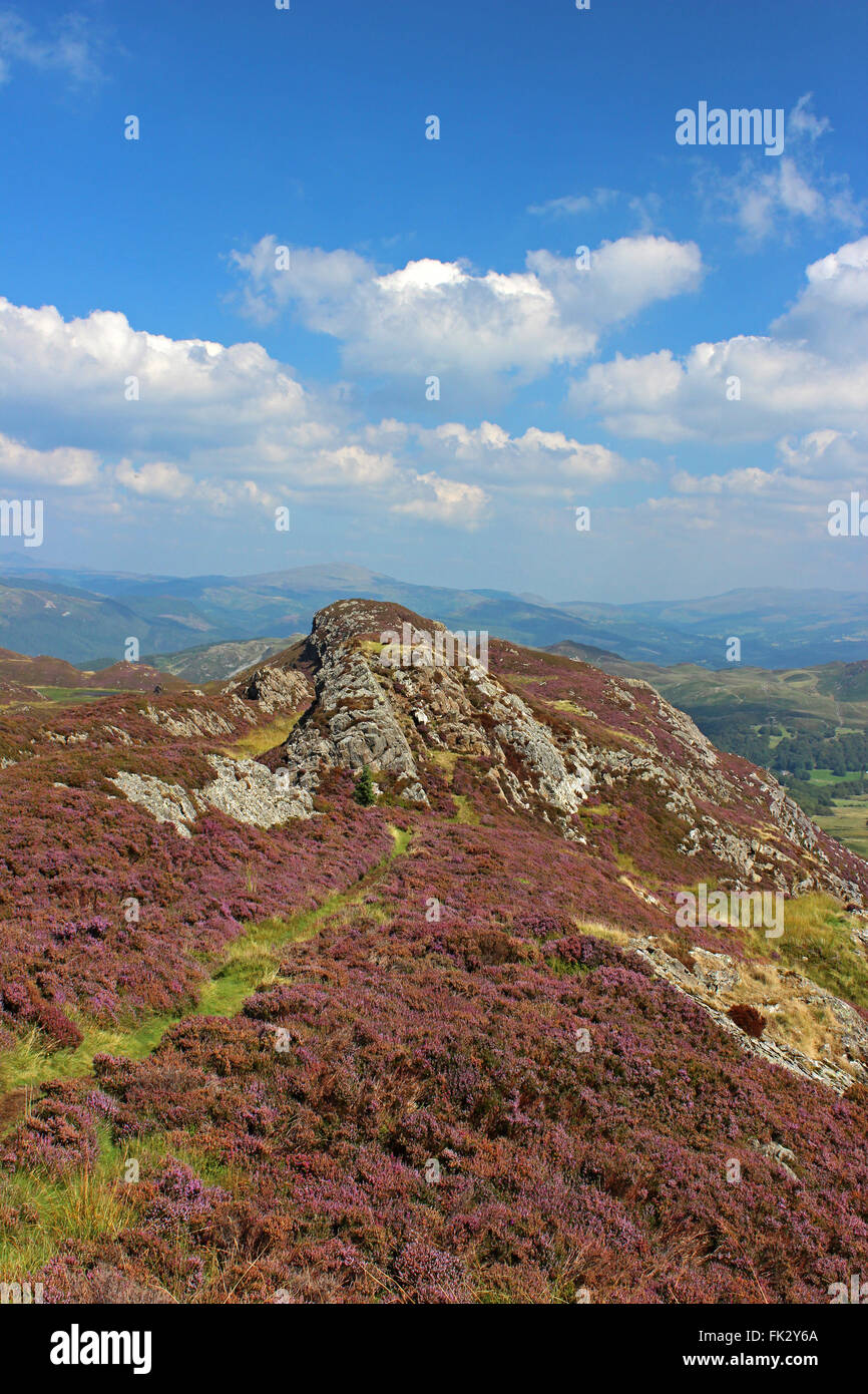 Paysage autour du lac de Cregennan et Gwynedd au Pays de Galles Cadair Idris Banque D'Images