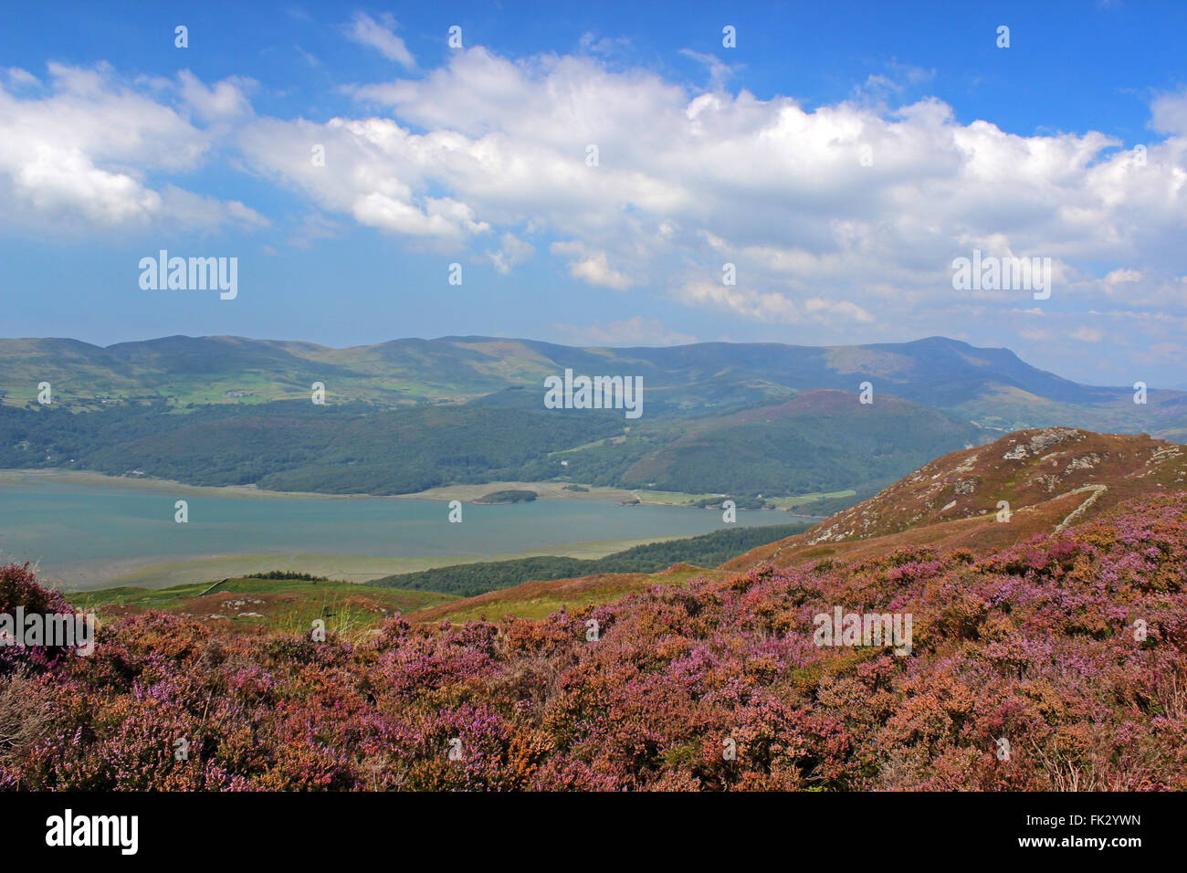 Paysage autour du lac de Cregennen et Bryn Brith Gwynedd au Pays de Galles Banque D'Images