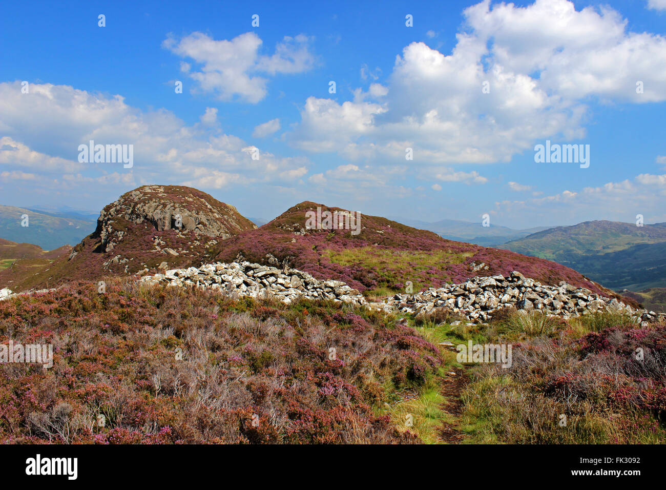 Vestiges de hill fort autour du lac d'Cregennan Cadair Idris et Gwynedd au Pays de Galles Banque D'Images