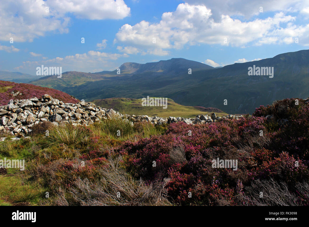 Vestiges de hill fort autour du lac d'Cregennan Cadair Idris et Gwynedd au Pays de Galles Banque D'Images