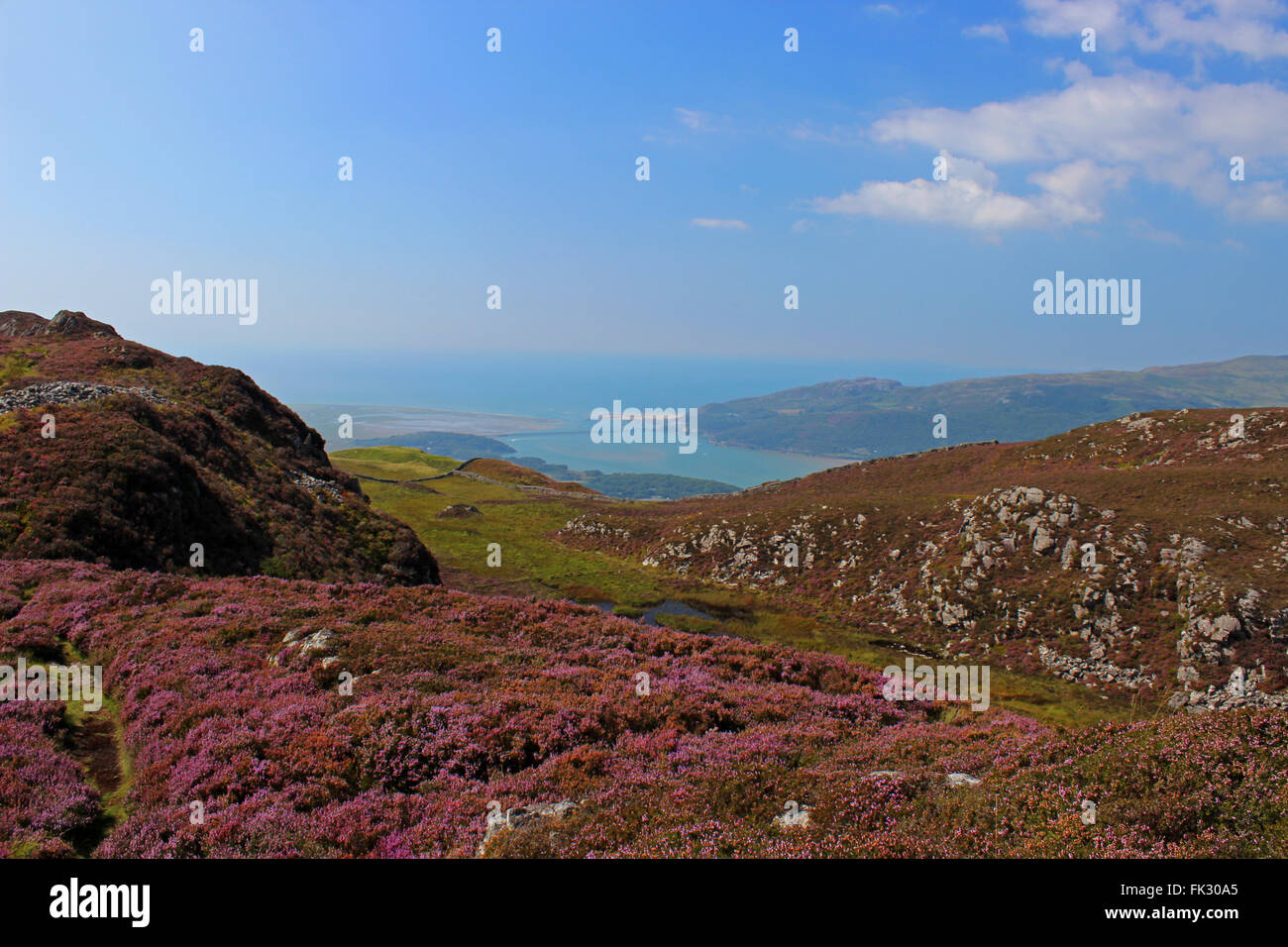 Voir d'Cregennen de Barmouth et Bryn Brith Gwynedd au Pays de Galles Banque D'Images