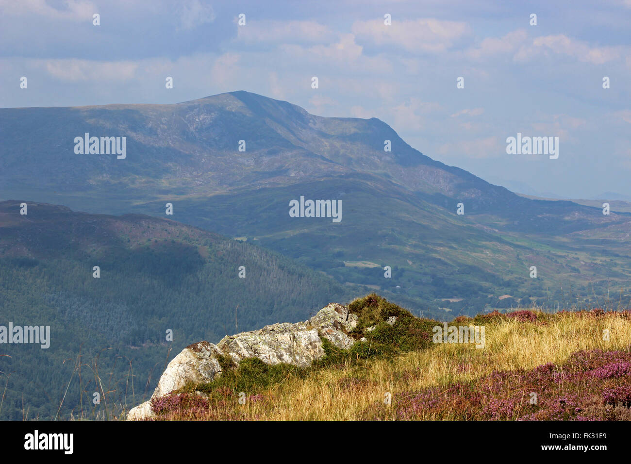Vue vers Diffwys Cregennan du lac de montagne Cadair Idris et Gwynedd au Pays de Galles Banque D'Images