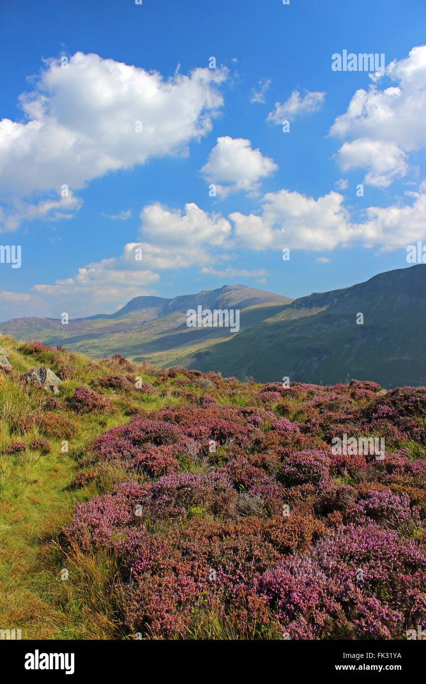 Paysage autour du lac de Cregennan et Gwynedd au Pays de Galles Cadair Idris Banque D'Images