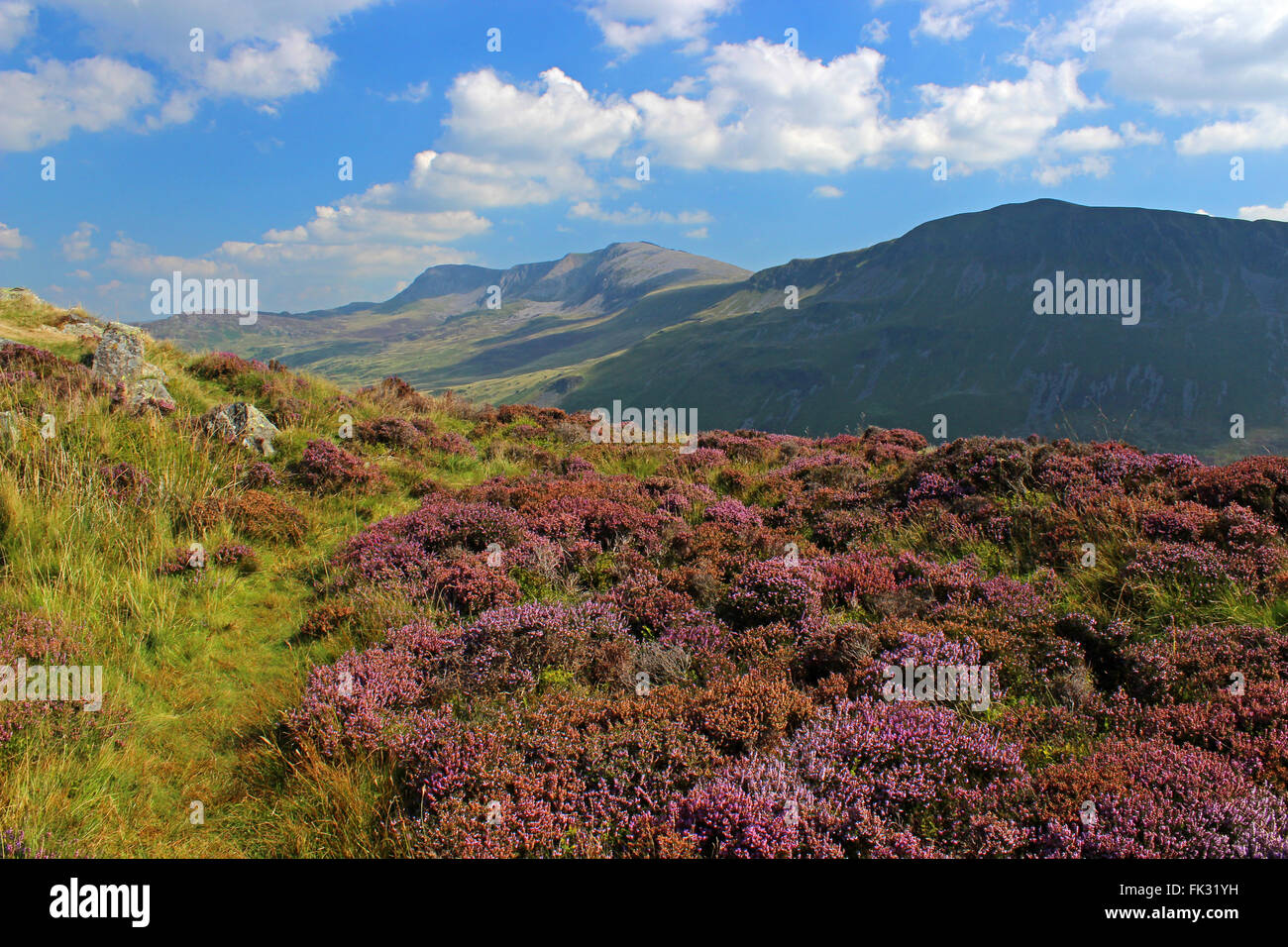 Paysage autour du lac de Cregennan et Gwynedd au Pays de Galles Cadair Idris Banque D'Images