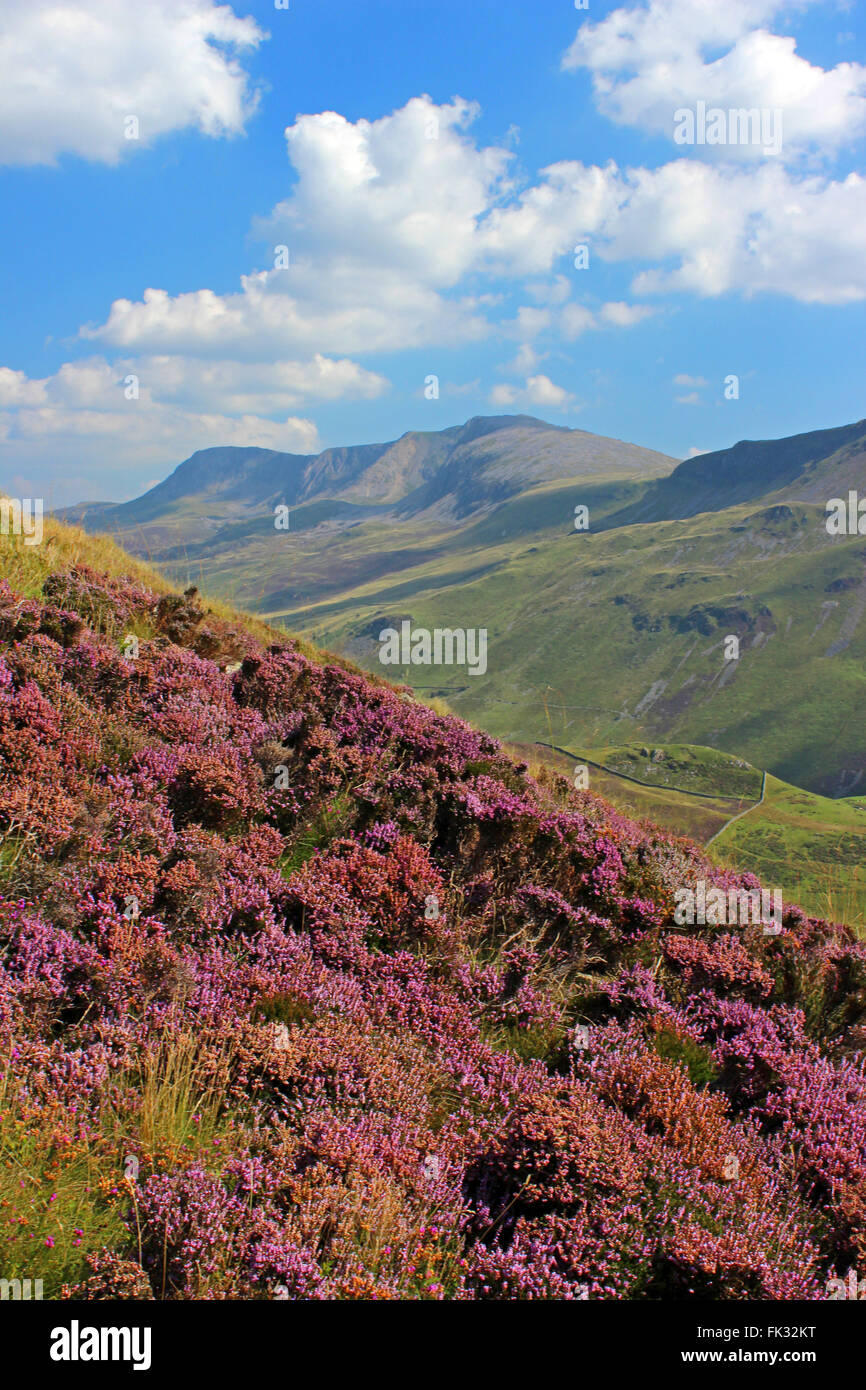 Paysage autour du lac de Cregennan et Gwynedd au Pays de Galles Cadair Idris Banque D'Images