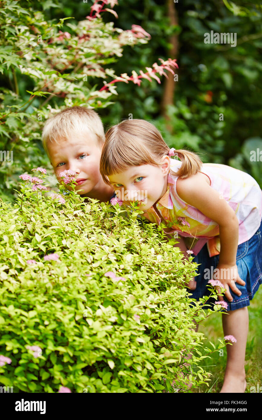 Deux enfants jouant à cache-cache dans le jardin et se cacher derrière un  buisson Photo Stock - Alamy