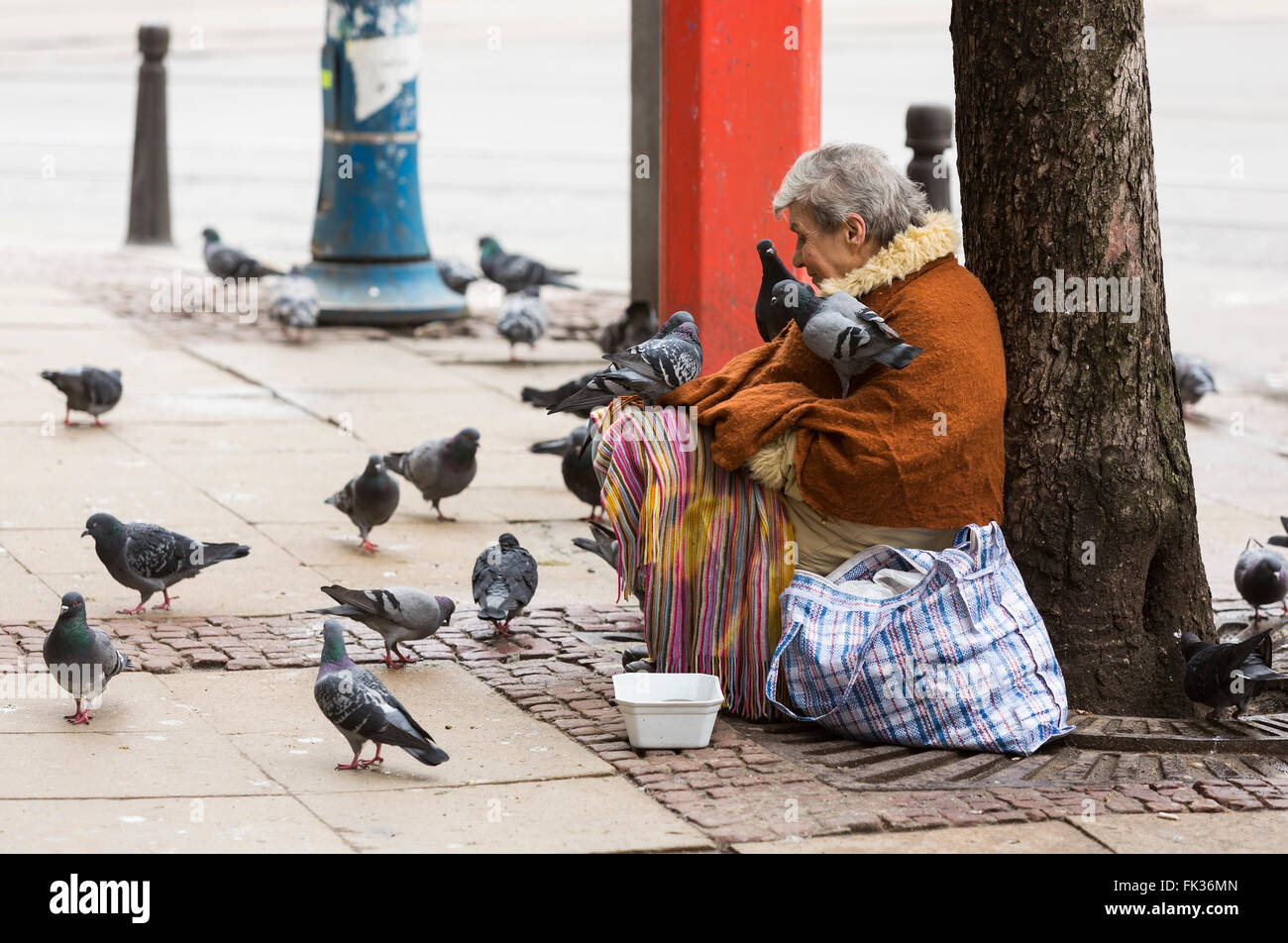 Sofia, Bulgarie - 27 Février 2016 : un sans-abri mendiant femme est couverte par les pigeons alors que la mendicité à une rue de Sofia. Bulgarie Banque D'Images