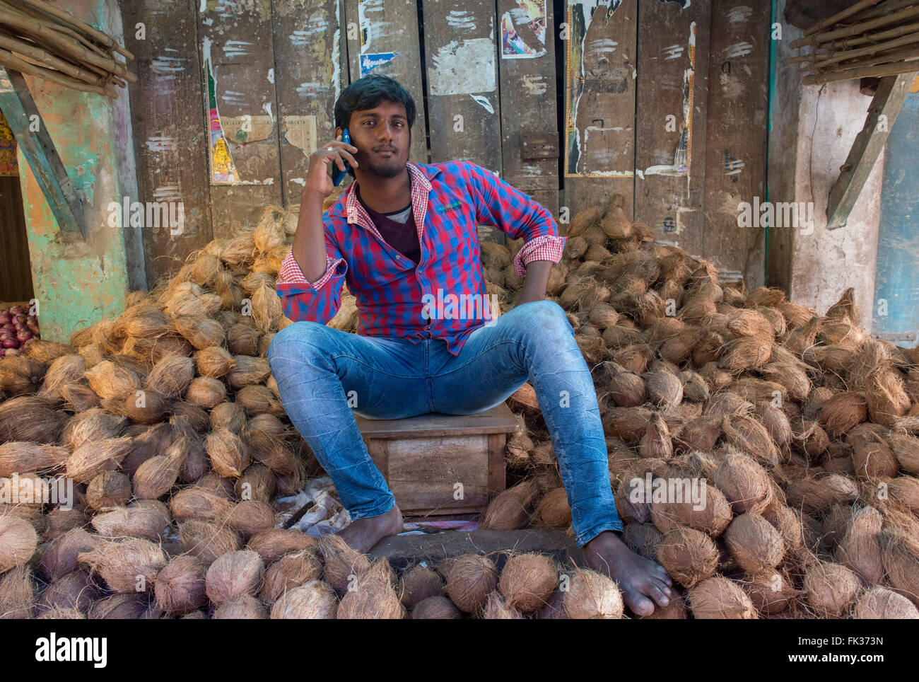 Vendre des noix de coco dans l'homme, marché Kanchipuram Banque D'Images