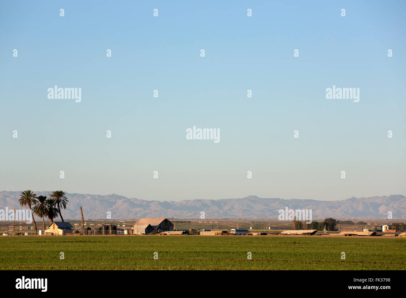 Les terres agricoles, Imperial Valley, California, USA Banque D'Images