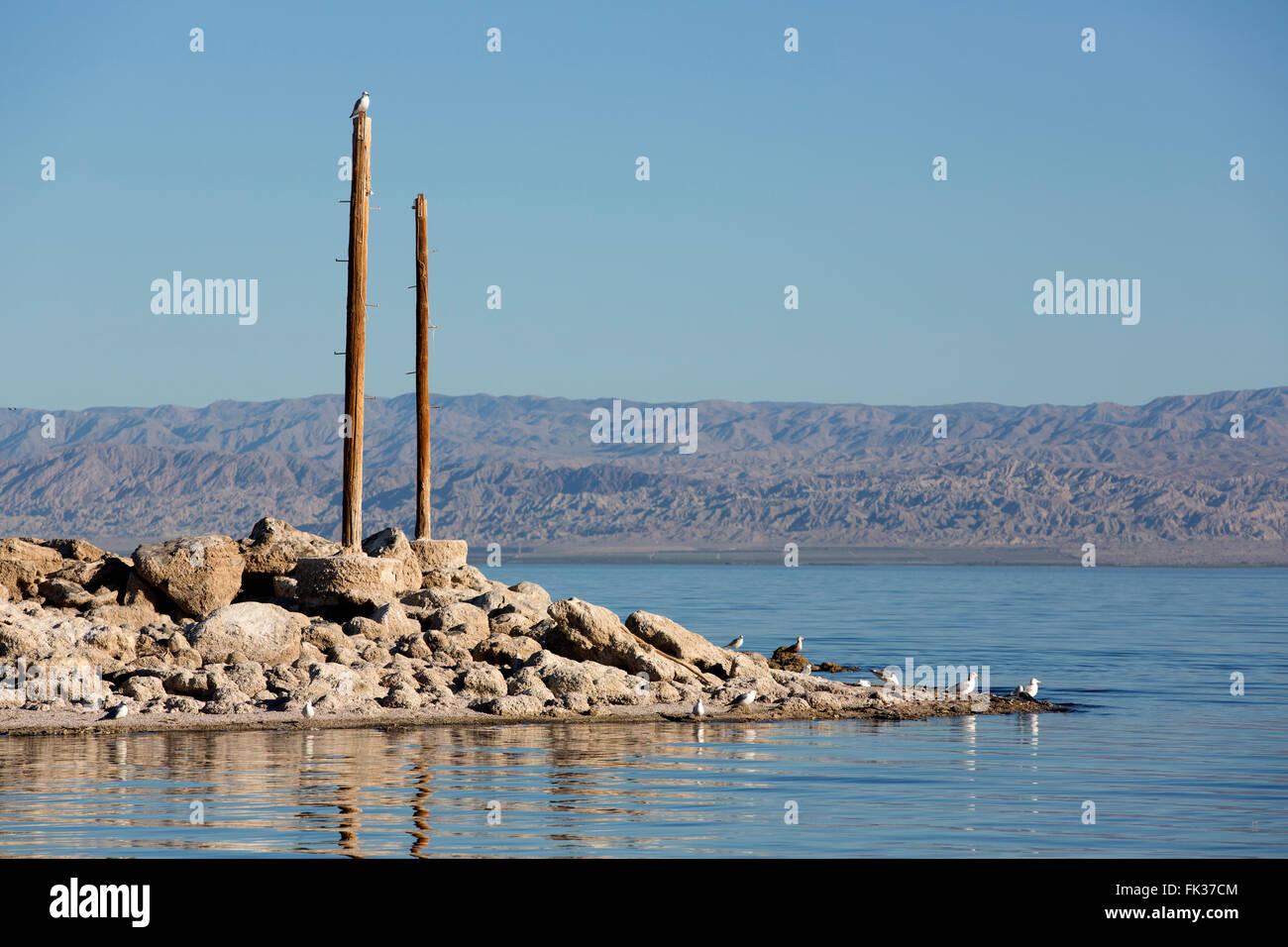 Paysage de la mer de Salton, Salton Sea Beach, en Californie. USA Banque D'Images