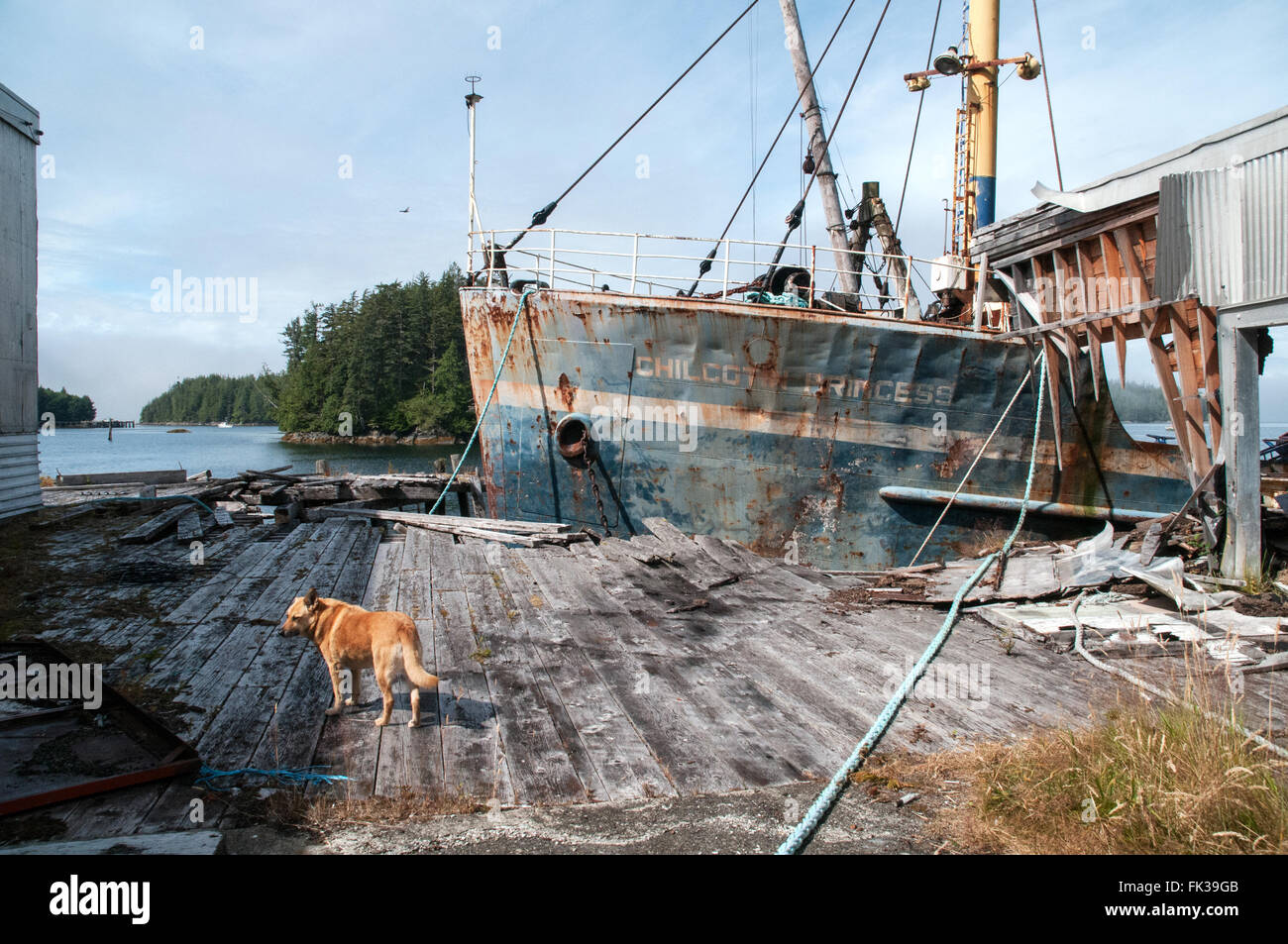 La marina à la conserverie de poisson abandonnés ville de Namu, dans la forêt du Grand Ours, sur la côte de la Colombie-Britannique, Canada. Banque D'Images