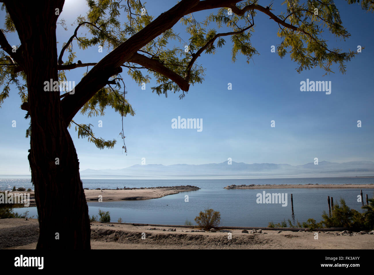 La mer de Salton, Desert Beach, Californie, USA Banque D'Images