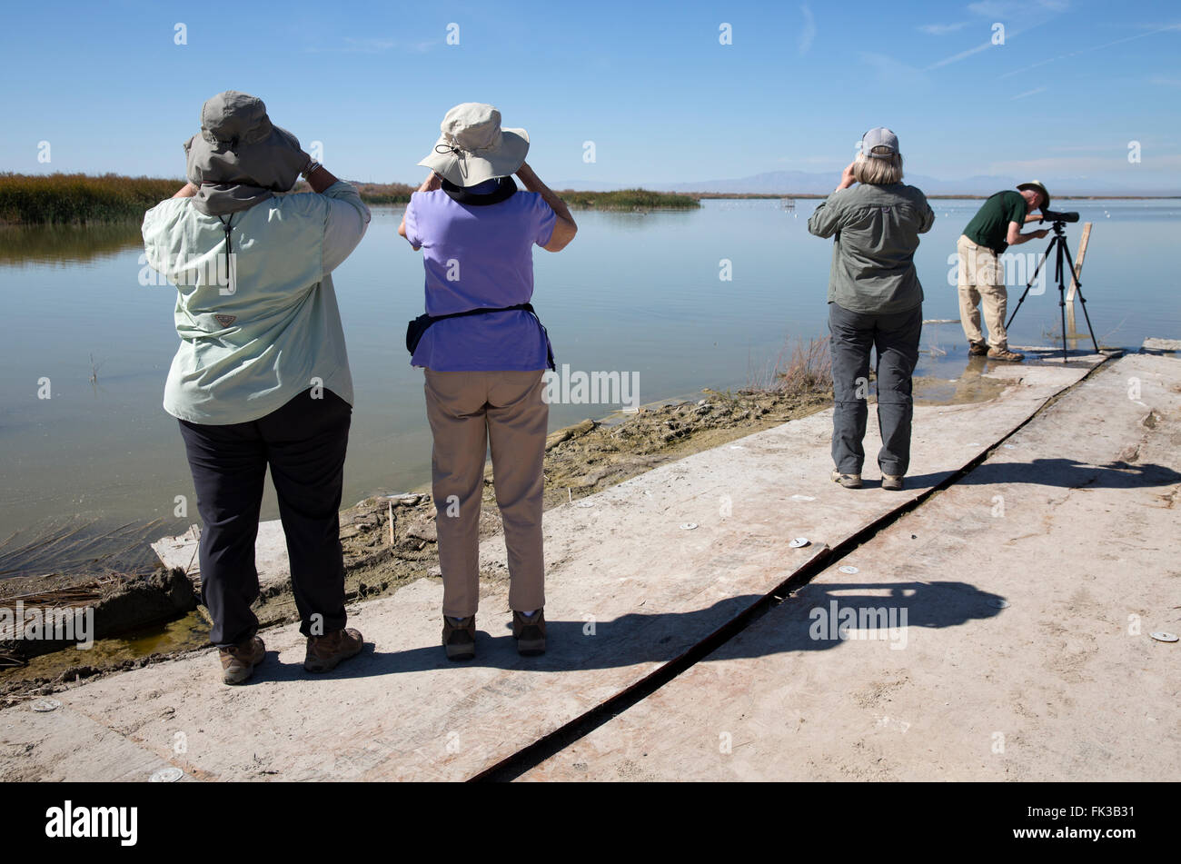 Les observateurs d'oiseaux sur la rive de la mer de Salton Californie Banque D'Images