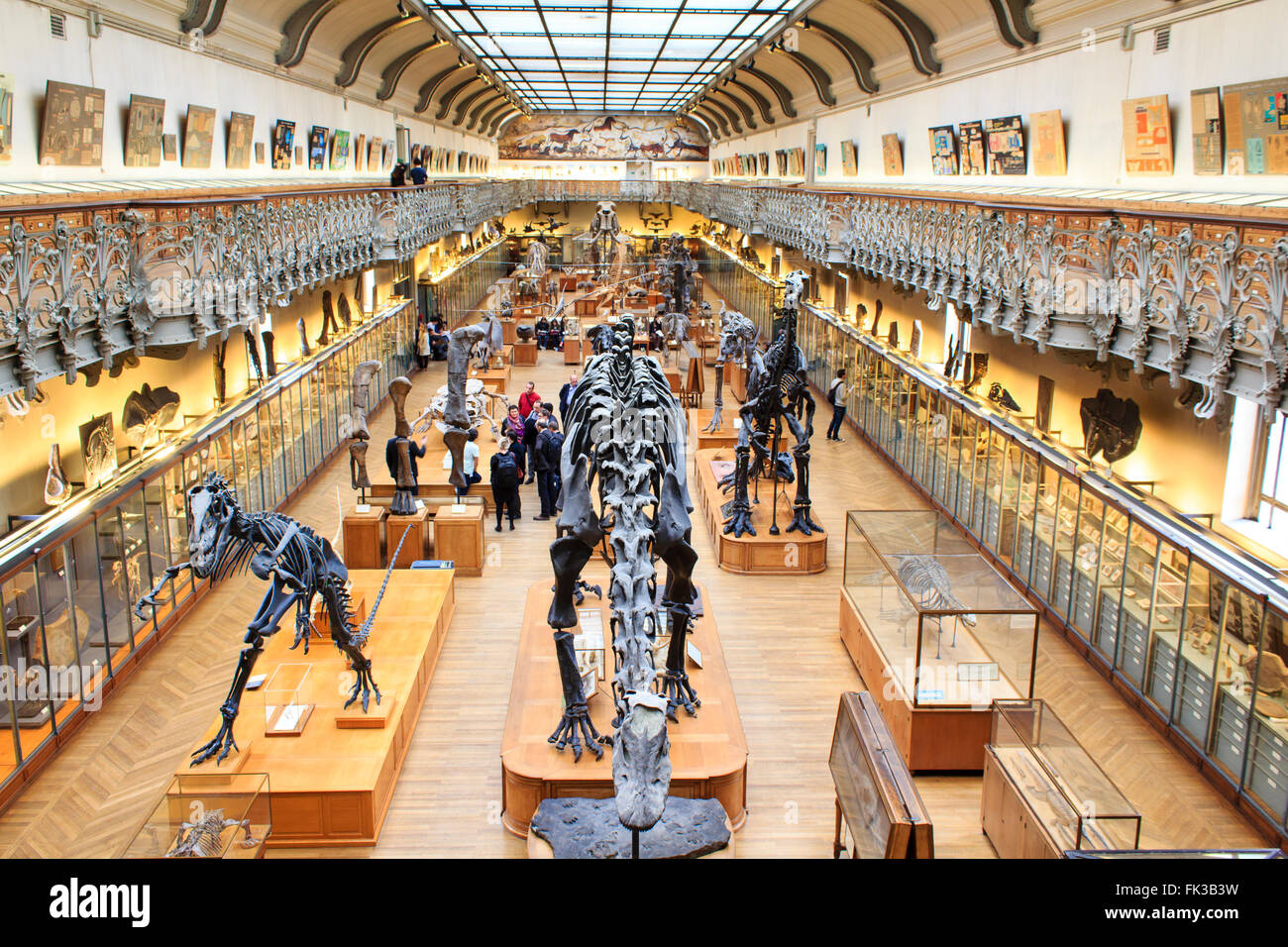 Des squelettes de dinosaures au Musée National d'Histoire Naturelle Banque D'Images