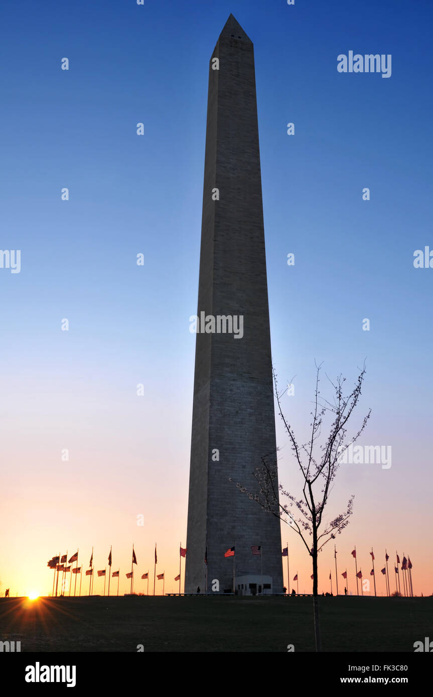 Washington Monument au crépuscule à Washington, DC, USA Banque D'Images